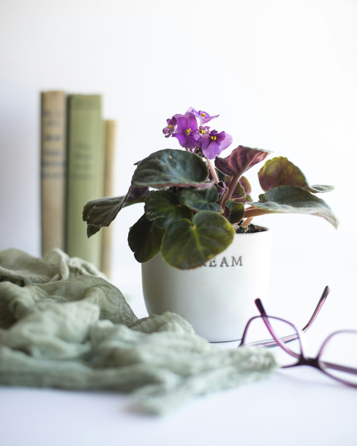 Violeta em vaso de cerâmica